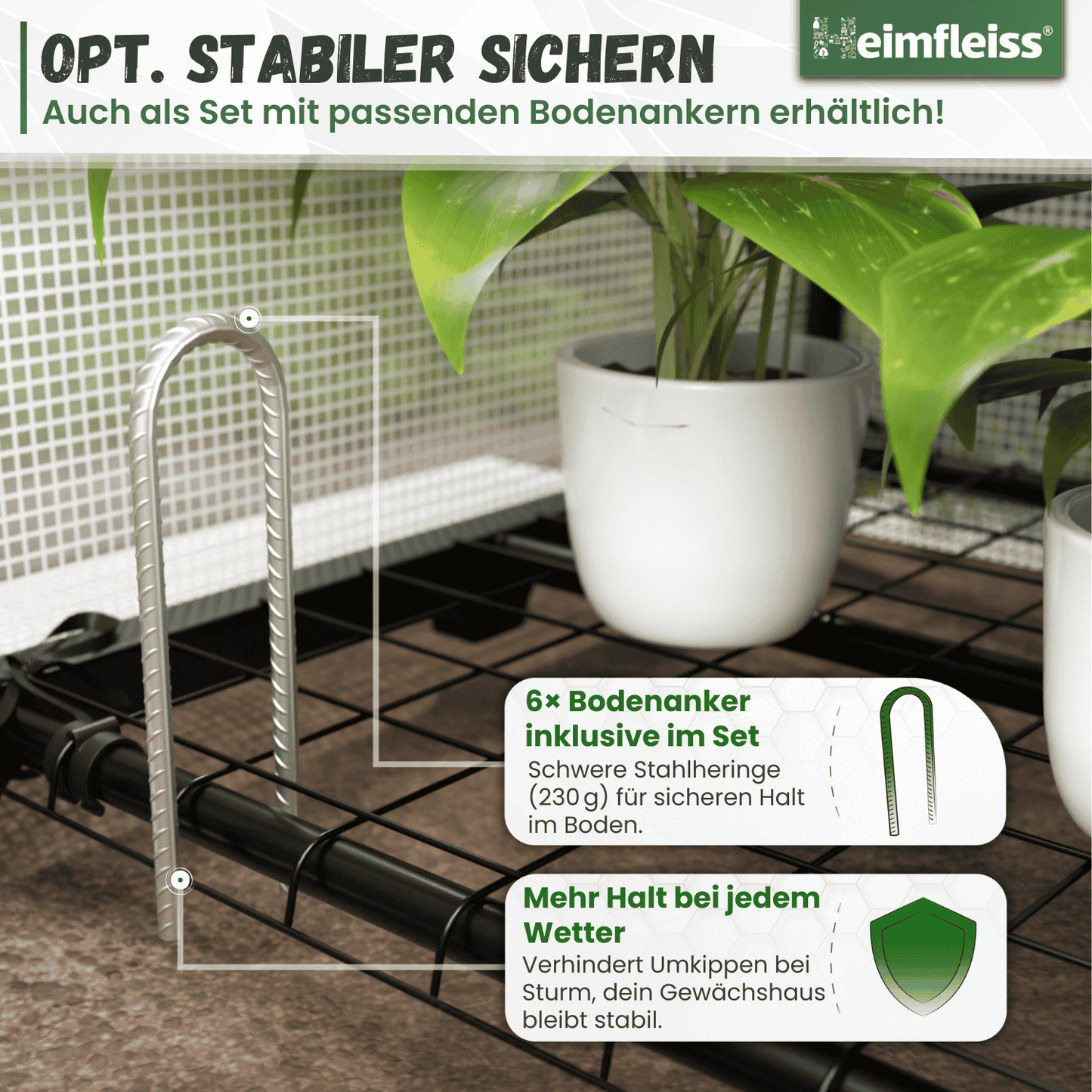 Foliengewächshaus klein