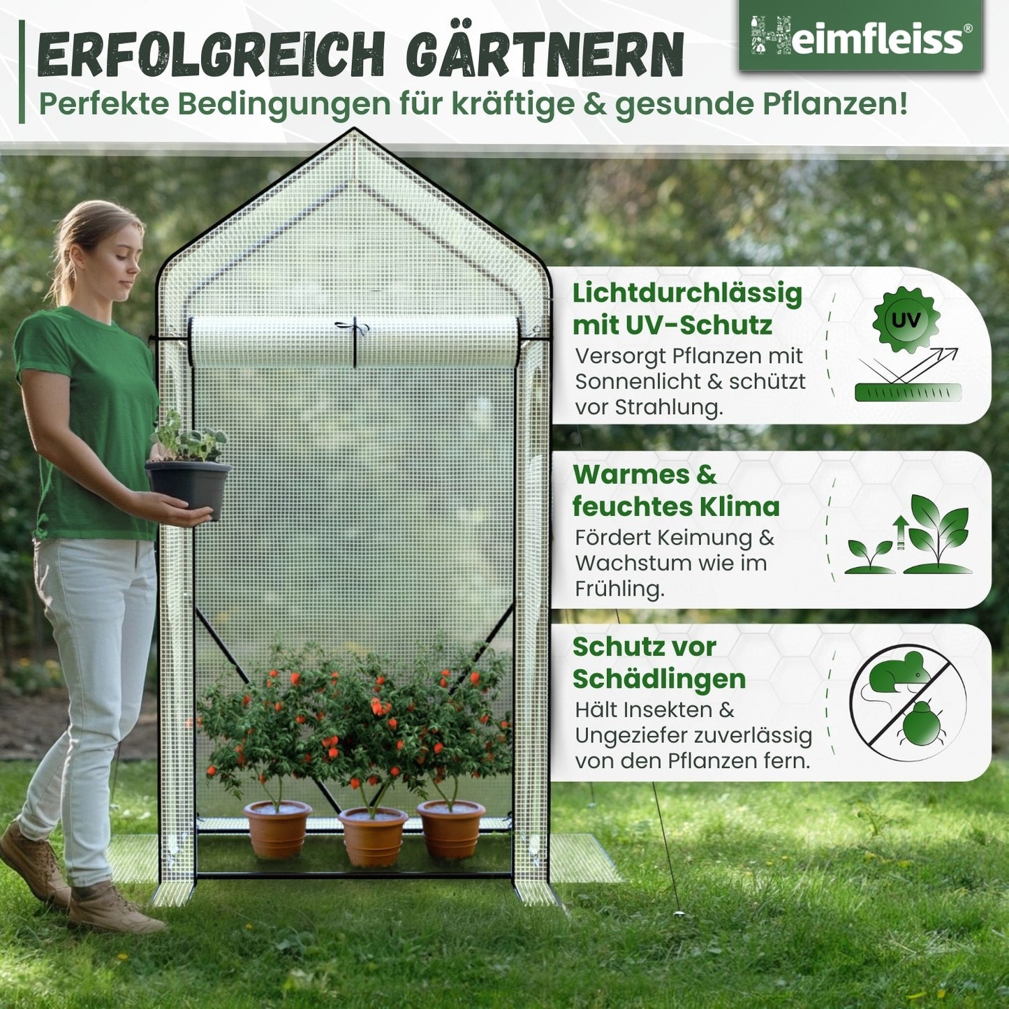 Tomatengewächshaus klein