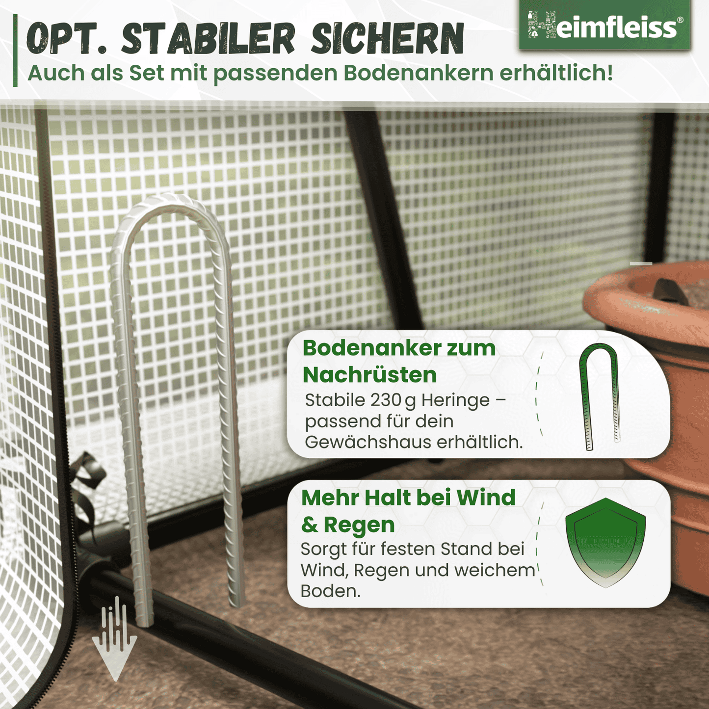 Tomatengewächshaus klein